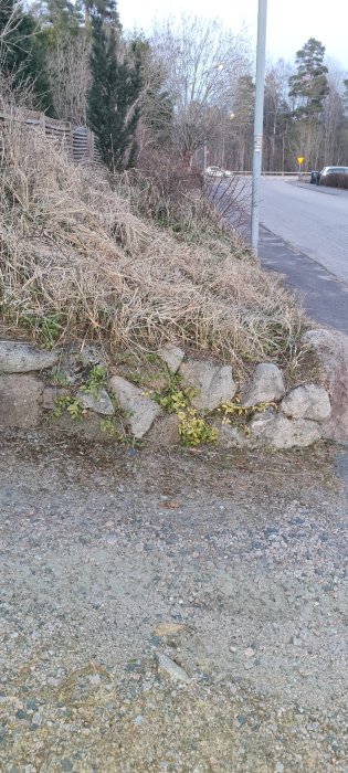 Vildvuxen slänt med större stenar som avgränsar mot en trottoar och ett lågt staket ovanför.