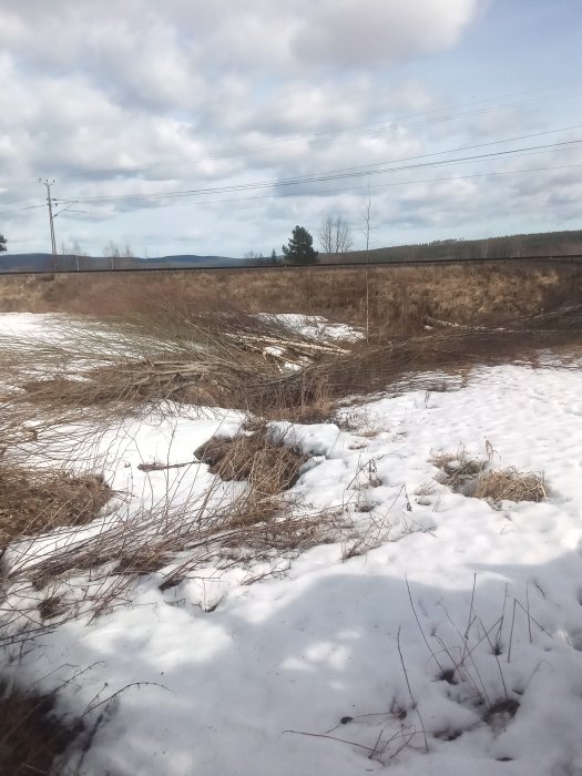 Fälld björk och sälgved i vinterlandskap mellan två åkrar, med snö och kvistar på marken.