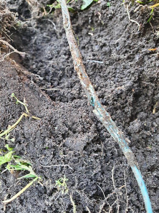Skadad och korroderad kabel i jord som visar tecken på nagg eller skärskador.