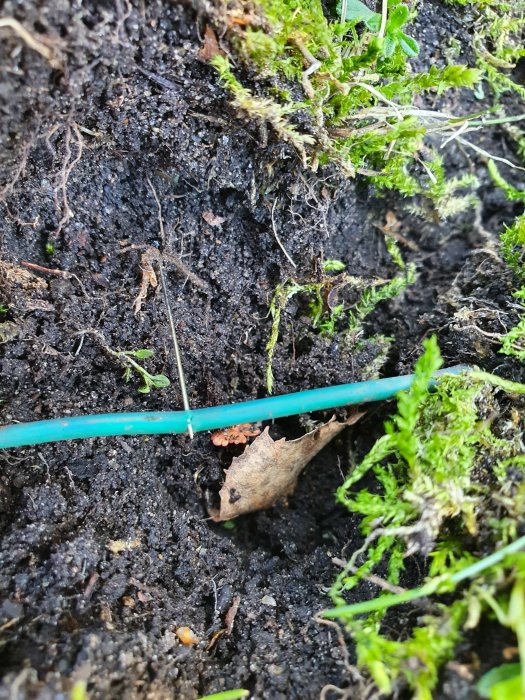 Skadad grön kabel i jorden med tecken på korrosion och skador, omgiven av mossa och löv.