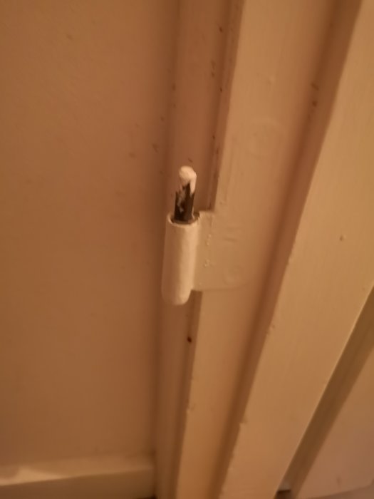 Dörr med gångjärn övermålat med vit färg, inklusive skruvhuvuden och låsdelar.