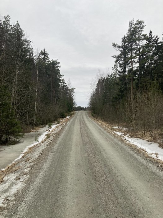 Grusväg genom skog med rester av snö på sidorna under en molnig himmel.