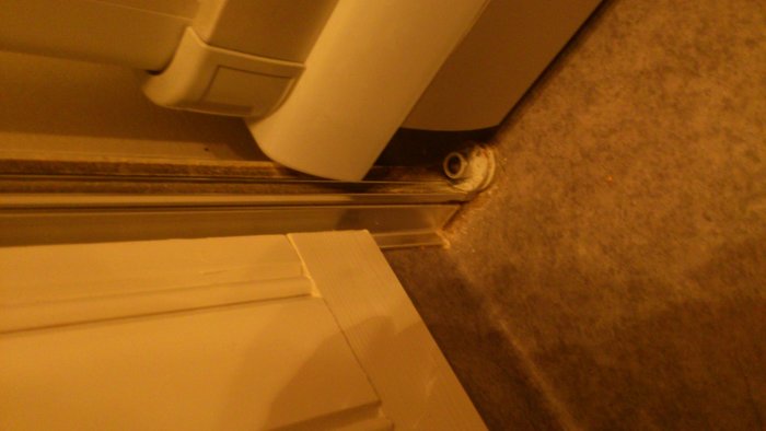DSC_1109.jpg