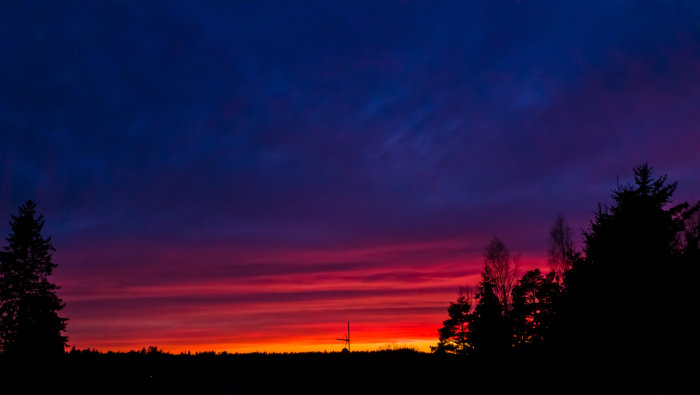 Dramatisk solnedgång med röda och lila färger över silhuetten av träd och landskap.