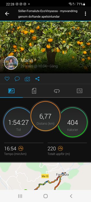 Skärmbild av en träningsapp med statistik från promenad; tid, distans, kaloriförbränning och rutt på karta.