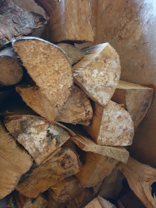 Möglig och ludden vedstapel inuti en vedbod, tecken på otillräcklig torkning.