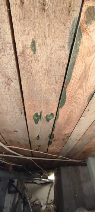Undersida av ett golv med synliga träbjälkar och gröna fläckar som kan tyda på mögel eller tryckimpregnerat virke.
