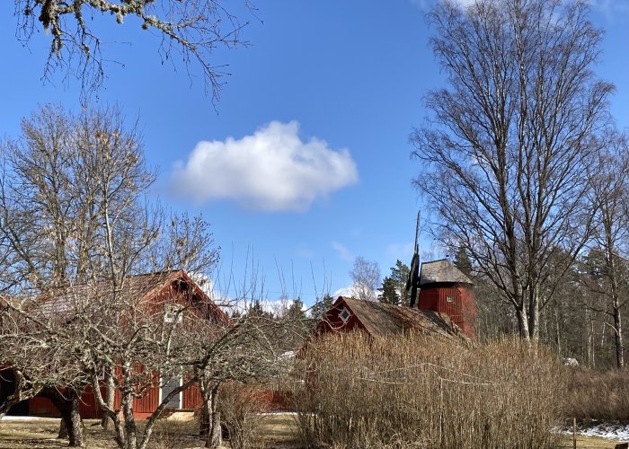 Landskap med röda stugor bland träden, en enstaka molnig himmel ovanför, tidig vår.