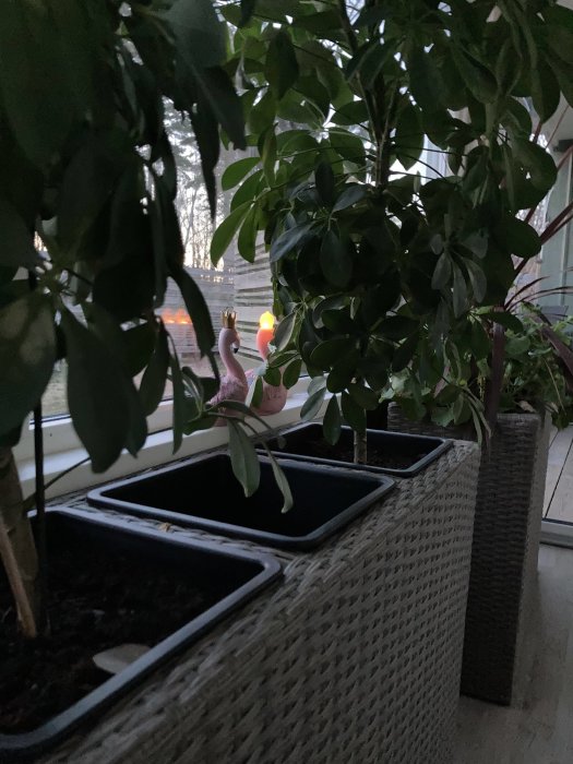 Plantor i svarta odlingslådor på en balkong med flätade korgar och en flamingoskulptur i bakgrunden vid skymning.