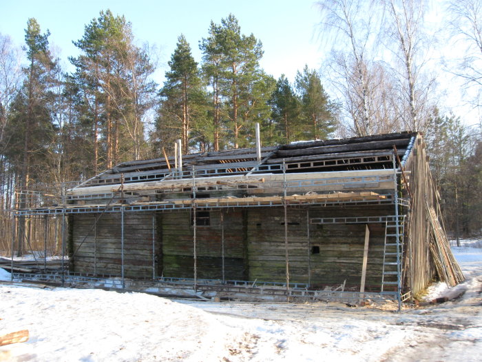 En gammal timmerbyggnad under renovering med stöttande stag och byggnadsställningar i ett vinterlandskap.
