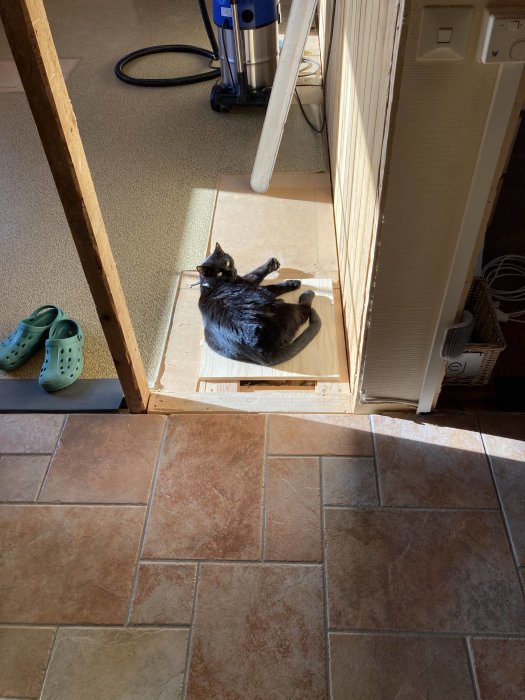 Svart katt som solar sig på en träplatta i ett rum under renovering bredvid en dammsugare.