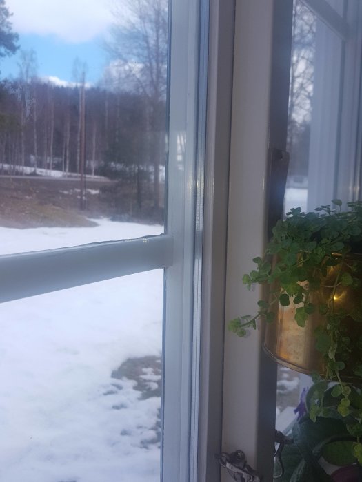 Närbild på ett fönster från 1980-talet med insatt glaskassett och en smal båge kvar, utsikt över ett snöigt landskap.