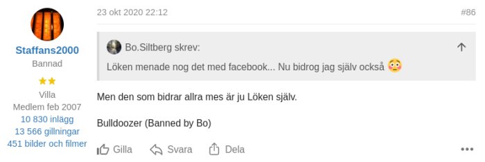 Skärmdump från diskussionsforum som visar ett användarinlägg markerat med "Bannad".