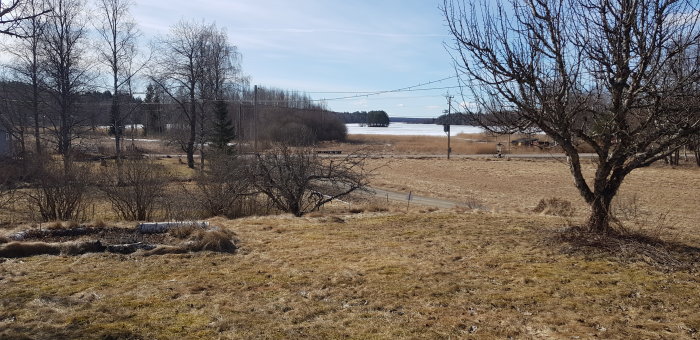 Vy över ett landskap med en frusen sjö i bakgrunden, torrt gräs i förgrunden och en väg som slingrar sig genom bilden.