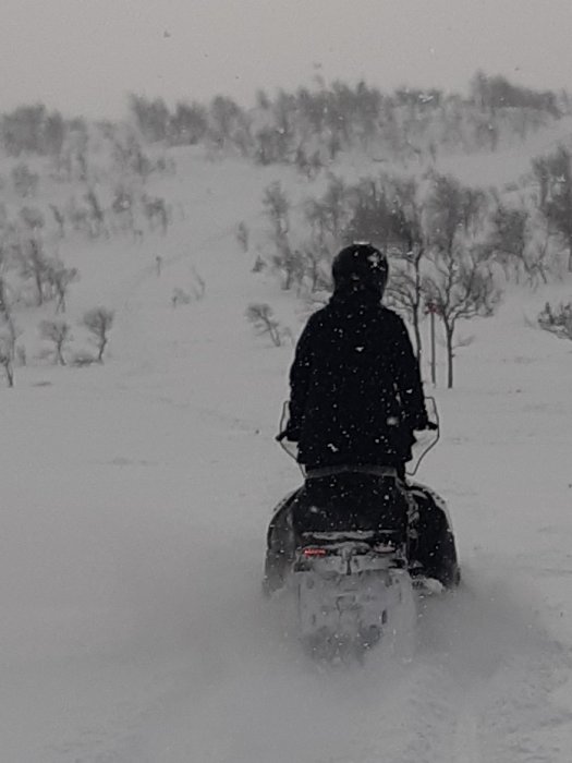 En person kör snöskoter i snöigt landskap med träd i bakgrunden.