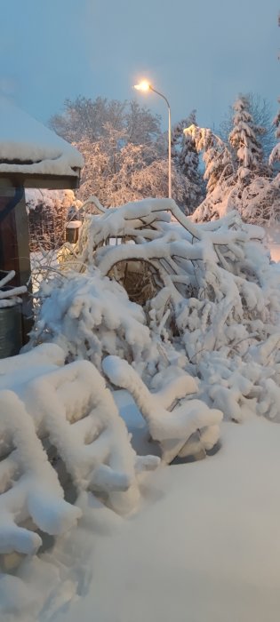 Täckt cykel och träd i tung snö vid gryning med gatubelysning.