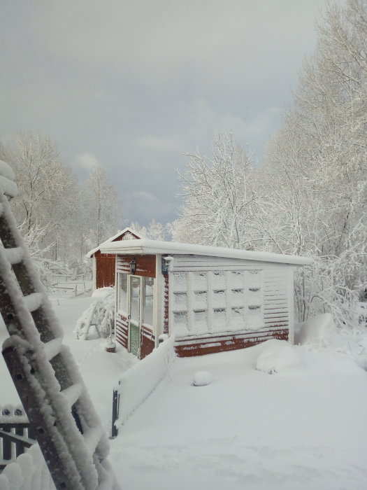 Veranda och träd täckta av tjockt snötäcke under en klarblå himmel.