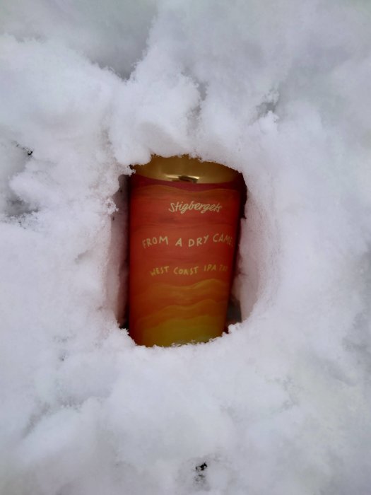 Ölburk upptäckt i ett hål i snön.