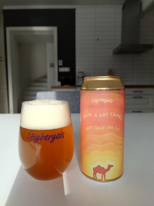 Ett glas öl och en ölburk med texten "Stigbergets" och "FROM A DRY CAMEL WEST COAST IPA 7.0%" på ett köksbord.