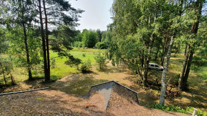 Utsikt över ett smutsigt hus tak med omgivande grönska och träd. En bil syns parkerad i skuggan.