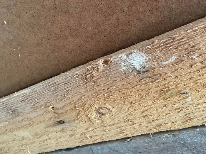 Närbild av en skadad träbjälke och brun väggspånskiva med mögel- och fuktskador.