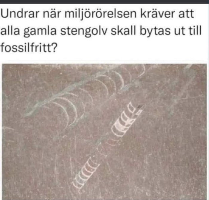 Fossiliserade fotspår från ett djur i ett stengolv, omgiven av textfråga om miljörörelsens krav.