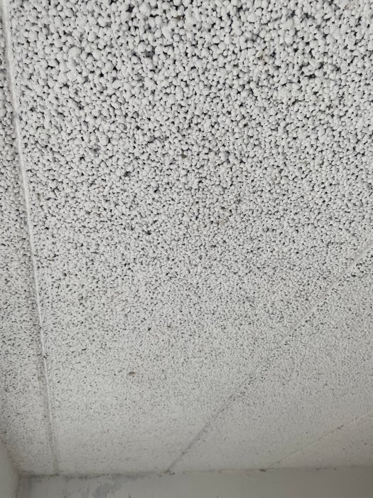 278001798_704791850724011_3600498290987832046_n.jpg
