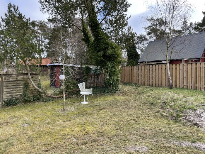 Trädgårdshörna med upphöjd, sparsamt gräsbevuxen kulle, vit stol, träd, staket och förråd i bakgrunden.