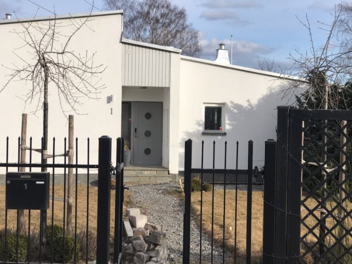 Utanför ett vitmålat hus står en silverpäronträd utan löv framför en gräsmatta och en grusgång. Svart staket i förgrunden.