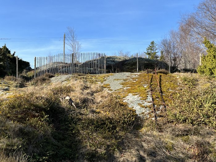 Solbelyst bergslänt med mossklädd mark och staket i bakgrunden, möjliga planteringsområden nära ett hus.