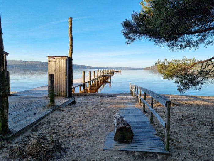En träbrygga och badstege vid en stilla sjö med skog i bakgrunden under klarblå himmel.