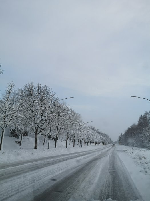 Snöklädd gata och träd den 7 april med ett ensamt fordon i fjärran.