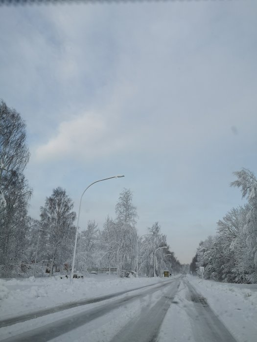 Vinterväglag och snötäckta träd längs en gata den 7 april.