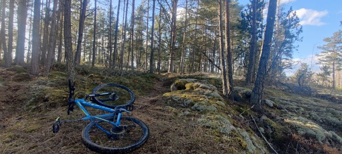Mountainbike liggande på marken i skogsmiljö med stigar och mossbeklädda stenar.