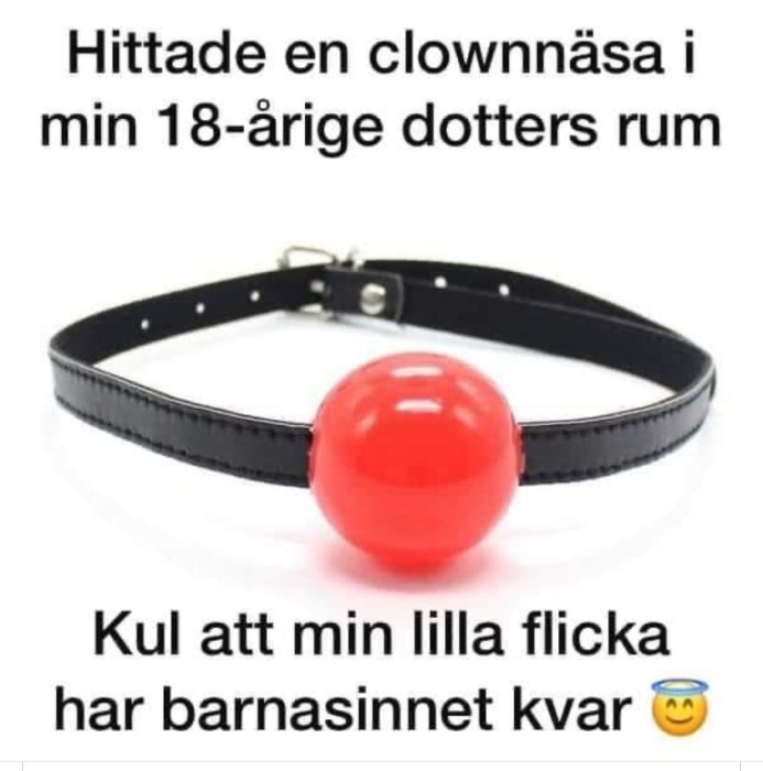 Röd clowwnäsliknande boll fastsatt på ett svart halsband mot vit bakgrund.