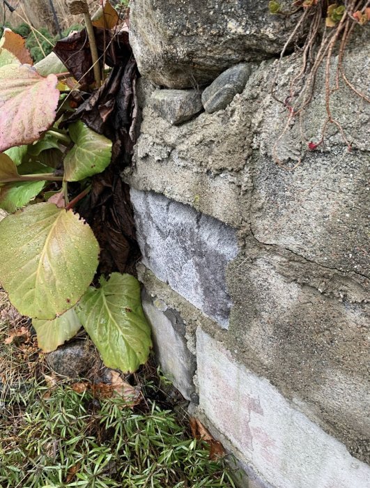 Del av en gammal jordkällare med oregelbundna naturstenar och betongblock i en ojämn konstruktion.