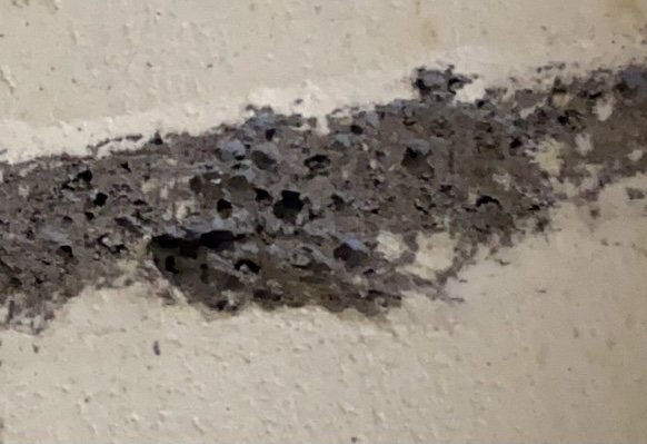 Närbild på en misstänkt blåbetongvägg med poröst material som är enkelt att skrapa bort.