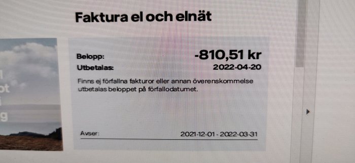 Skärmbild av en elektricitetsfaktura med ett negativt belopp på 810,51 kronor.