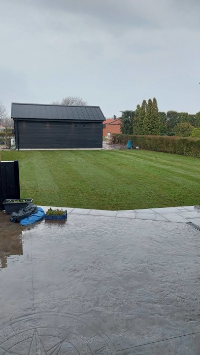 Nyinstallerad gräsmatta framför mörk trädgårdsbod med våt stenplattlagd terrass i förgrunden.