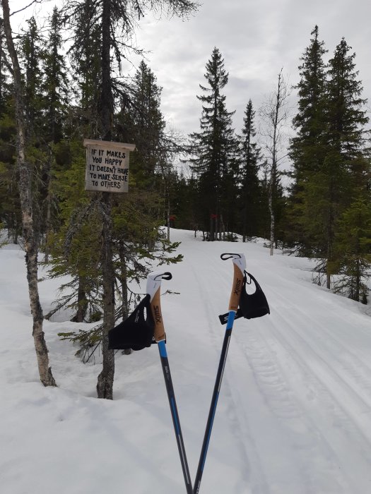 Två skidstavar i snön på ett skidspår i skogen med ett skylt på ett träd som har en text.