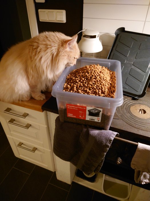 En katt som luktar på ett öppet foderbehållare på ett köksbänk.