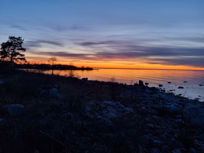 Solnedgång vid havet med stenig strand i förgrunden och träd silhuetter mot orange himmel.