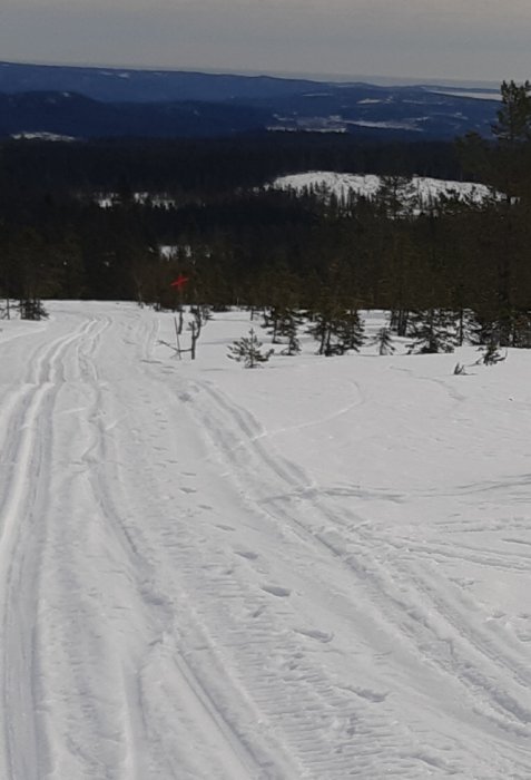 Längdskidspår i snötäckt landskap med tallar och utsikt över kullar i fjärran.