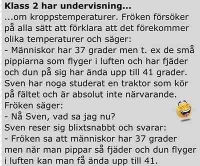 Skärmavbild av en humoristisk text om en klass som lär sig om kroppstemperaturer där en elev svarar oväntat på frågan.