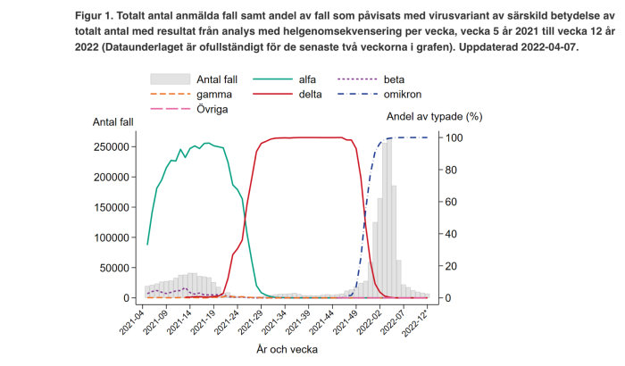 Graf som visar antal fall av COVID-19 och andelen virusvarianter per vecka i Sverige 2021-2022.