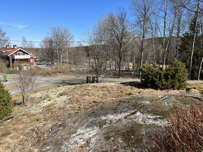 Trädgårdsframsida med berg, gräs och ormbunkar framför hus och träd.