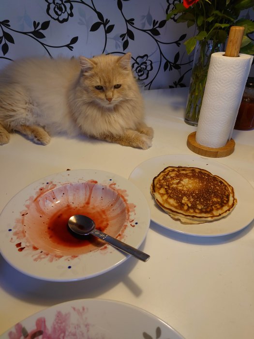 Fluffig katt sitter bredvid en tallrik med rester av blåbär och pannkakor på ett köksbord.