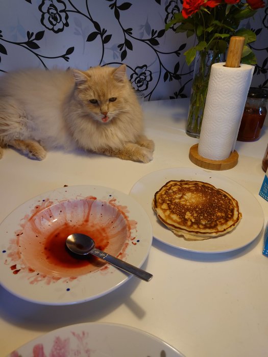 Katt bredvid en tom tallrik med sylt och en tallrik med amerikanska pannkakor.