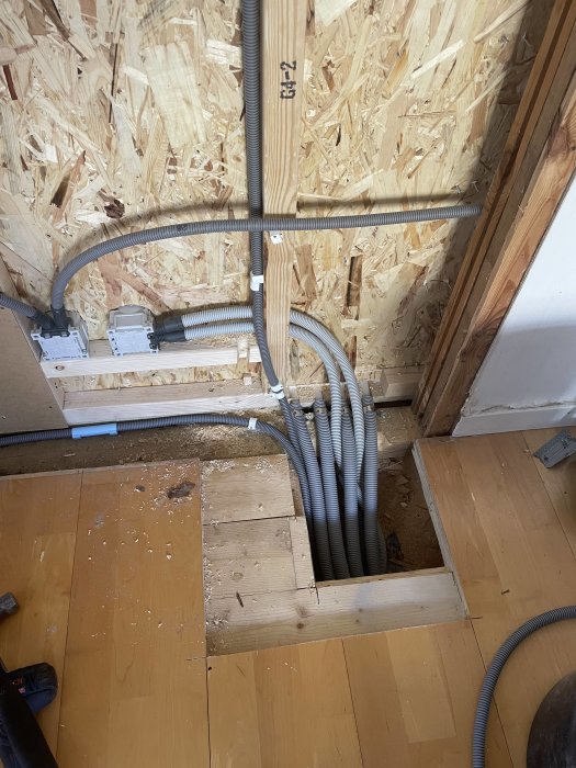 Installation av golvvärme med slangar förlagda genom golvutrymmet i ett hem i renovering.