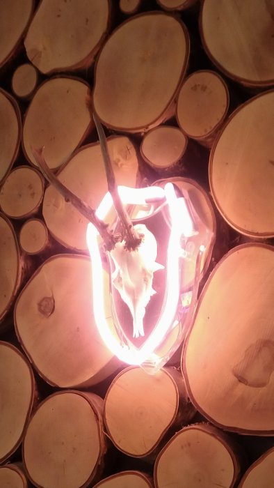 En vägglampa gjord av trädstammar och glödtråd med ett djurkranium i mitten, upplyst för dekorativ effekt.